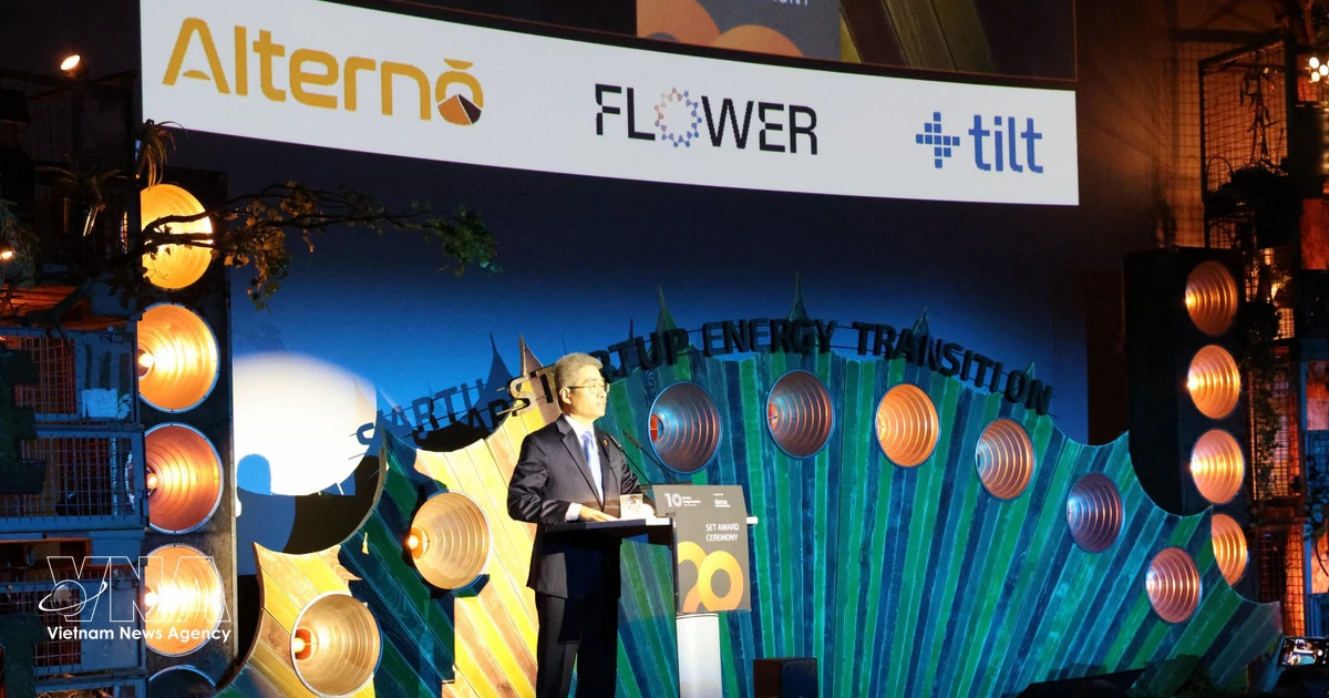 Vietnamese firm becomes first to reach top 15 in Germany’s energy award