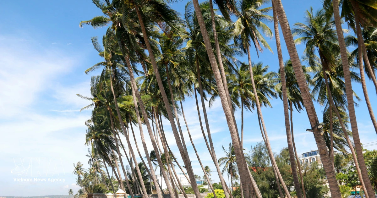 VN travellers increasingly favour sustainable stays, community-based tourism