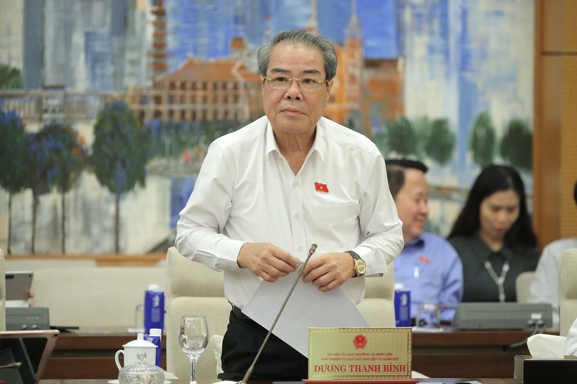 chu nhiem uy ban dan nguyen va giam sat duong thanh binh.jpg