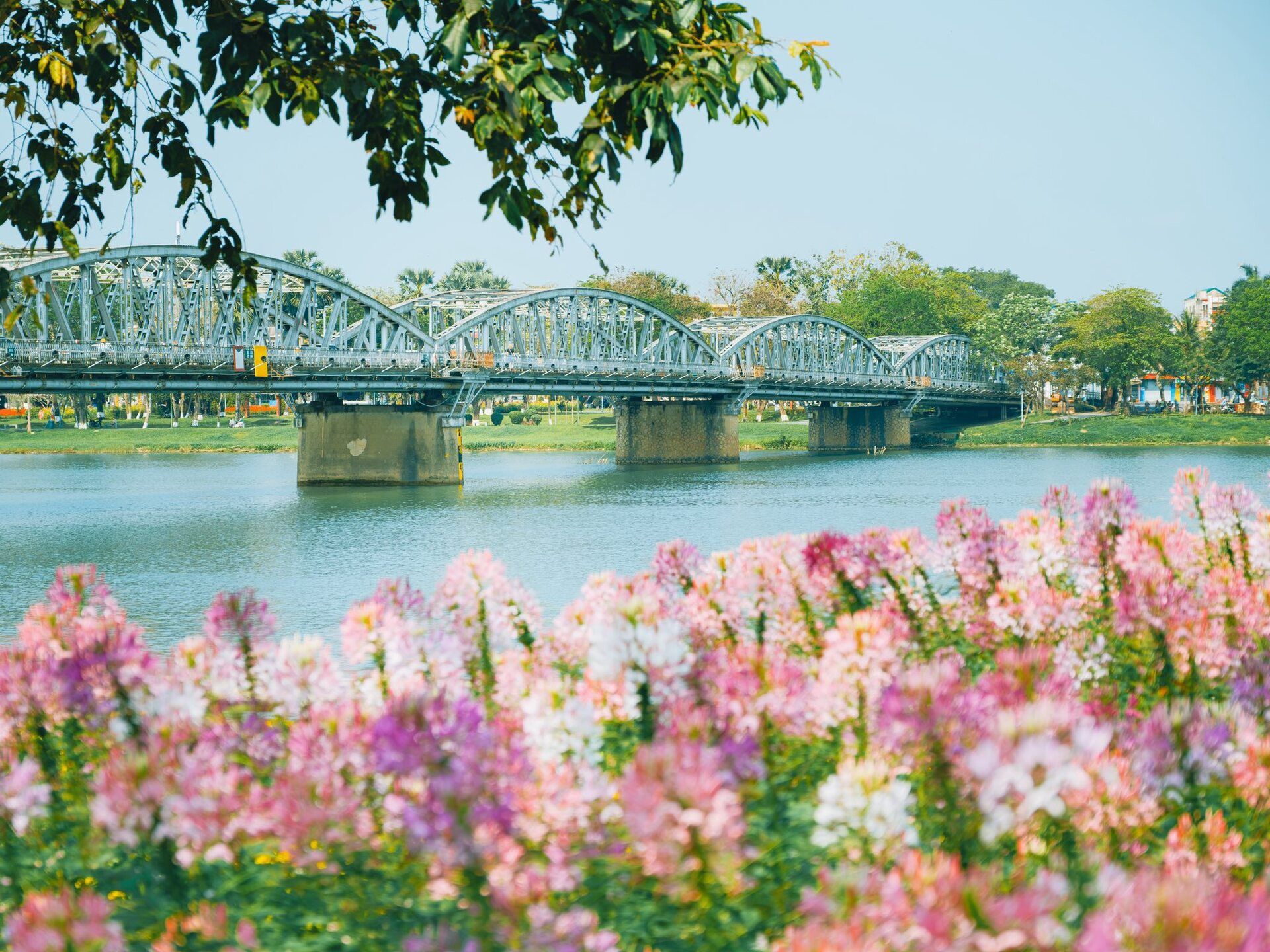 huế mùa xuân.jpg