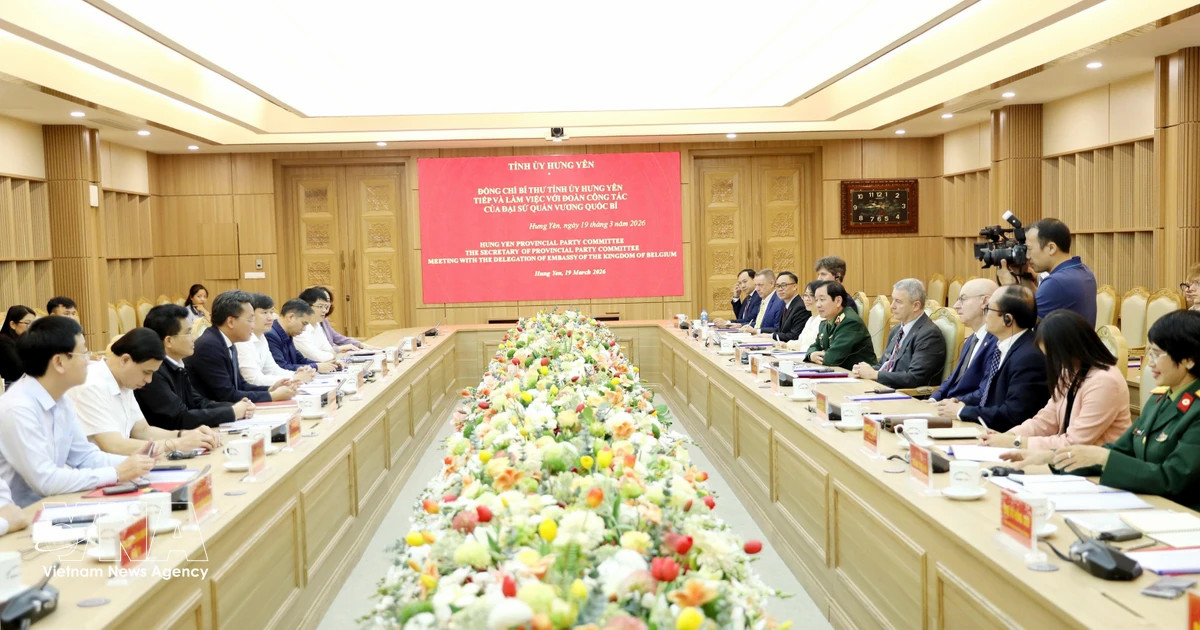 Belgian fund proposes investment, support projects in Hung Yen