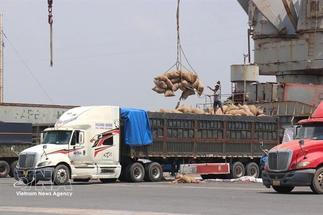 HCM City firms adjust markets to maintain jobs amid global shipping disruptions