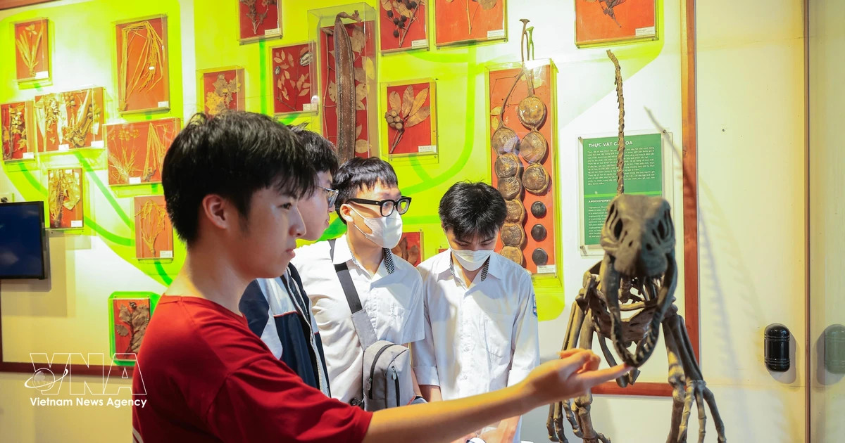 Natural history museums pulling in huge crowds