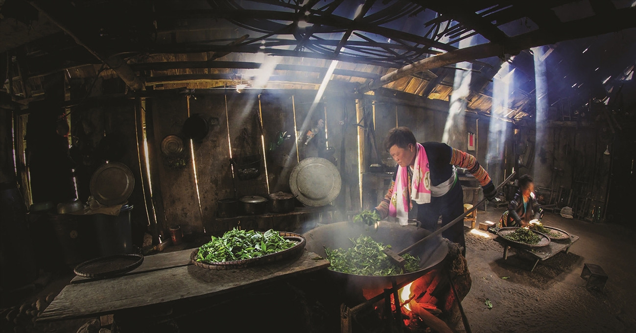 A mountain tea finding its place in the world
