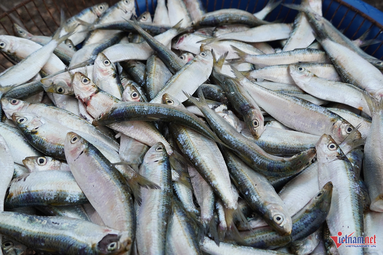 fishing village2.jpg