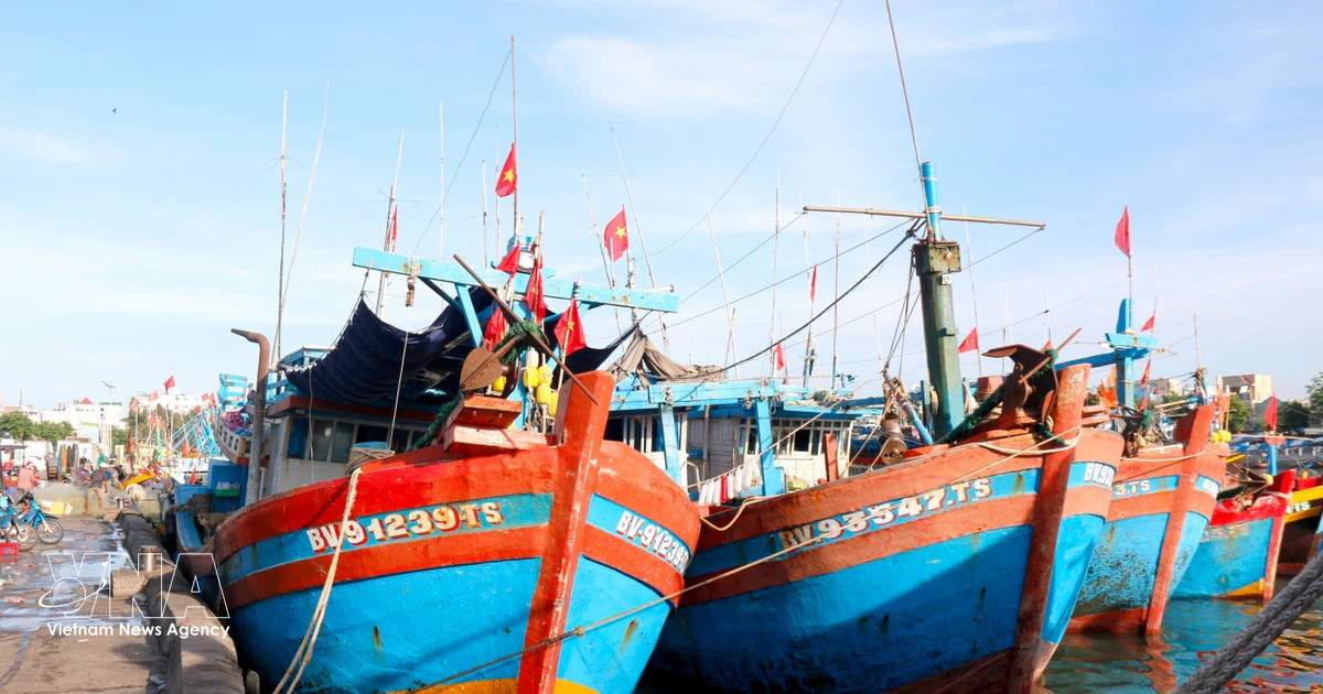 Digital tools power Vietnam’s shift toward smarter fisheries
