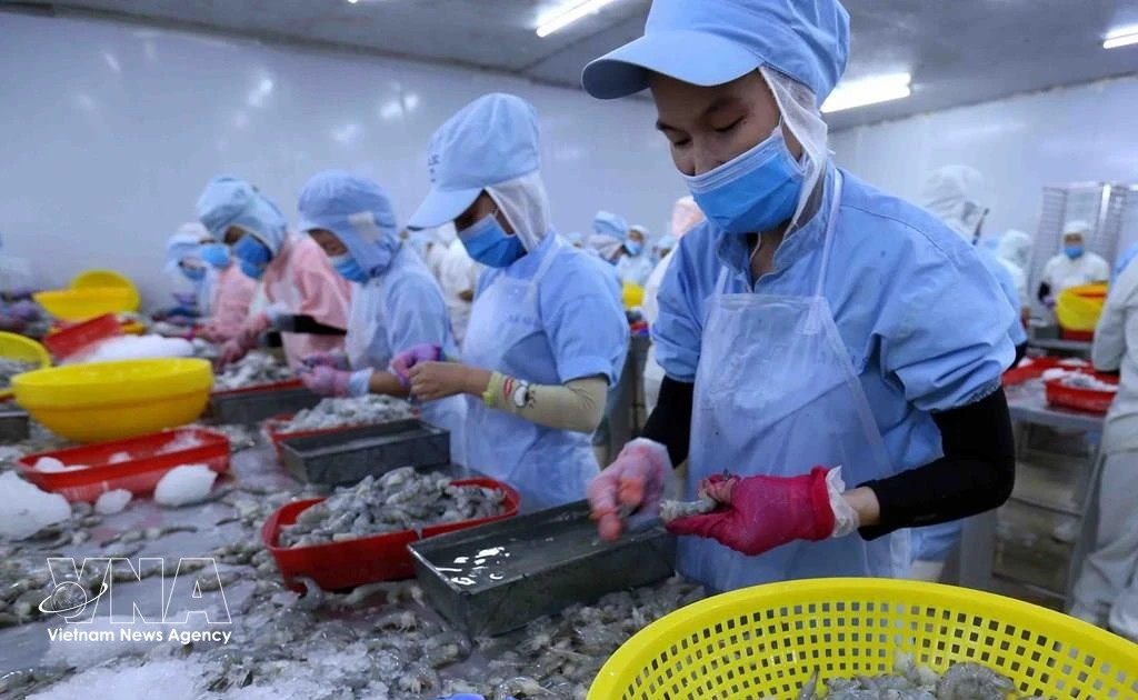Int'l sourcing expo to open new supply chain links for Vietnam’s seafood sector