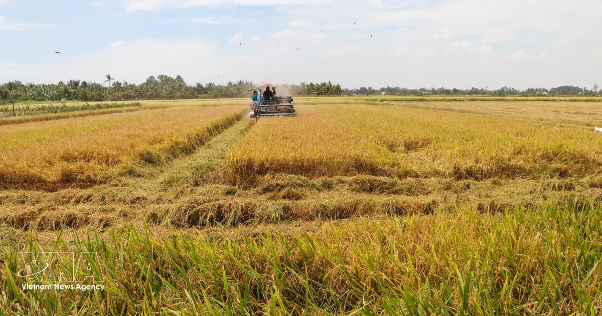 Logistics pressures drive urgent restructuring of agricultural value chains