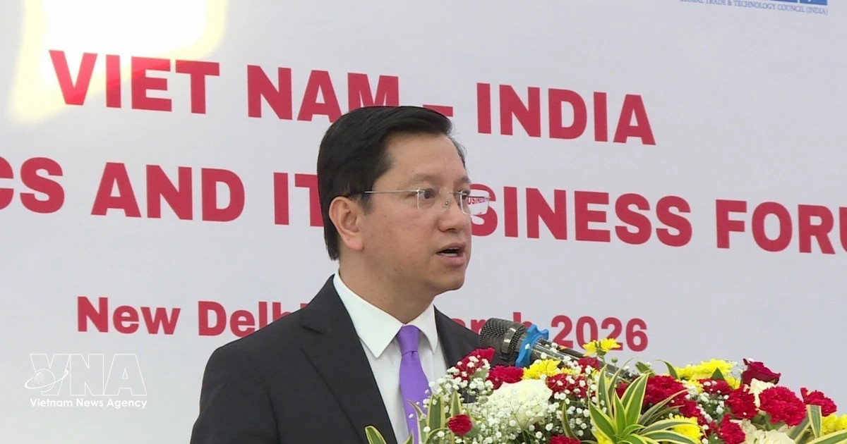 Vietnam, India step up cooperation in electronics, IT
