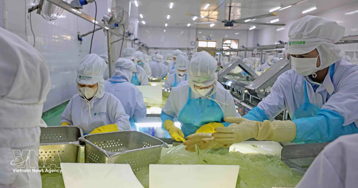 Vietnam launches drive to boost private sector, reform state enterprises