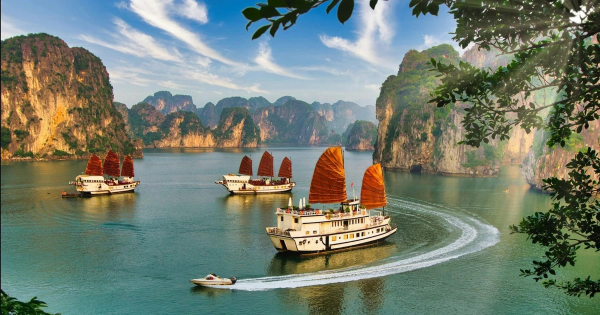 Vietnam praised as a welcoming destination for global travellers