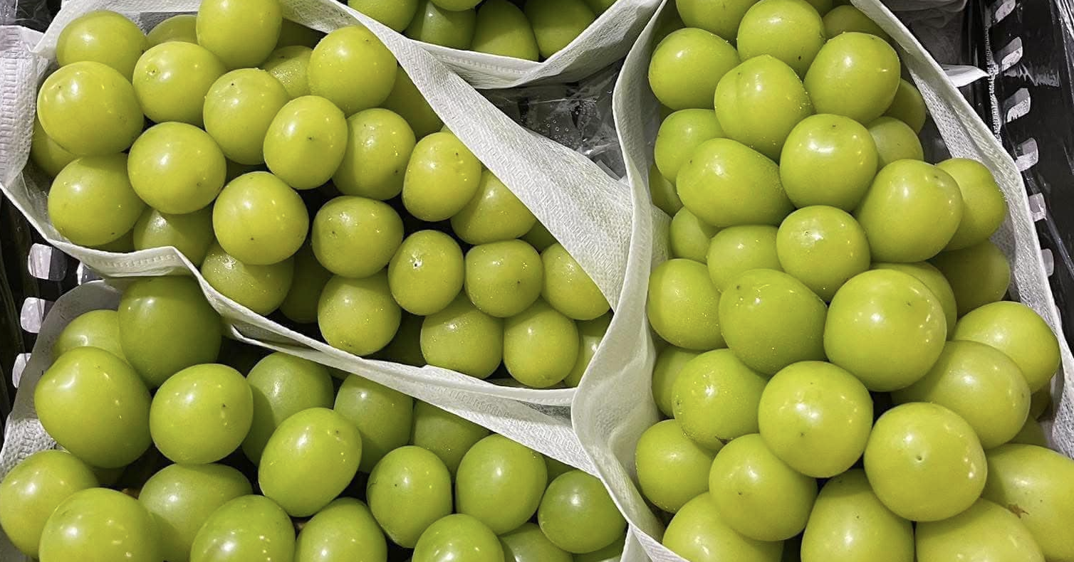 Vietnam becomes largest buyer of Chinese grapes despite price drop