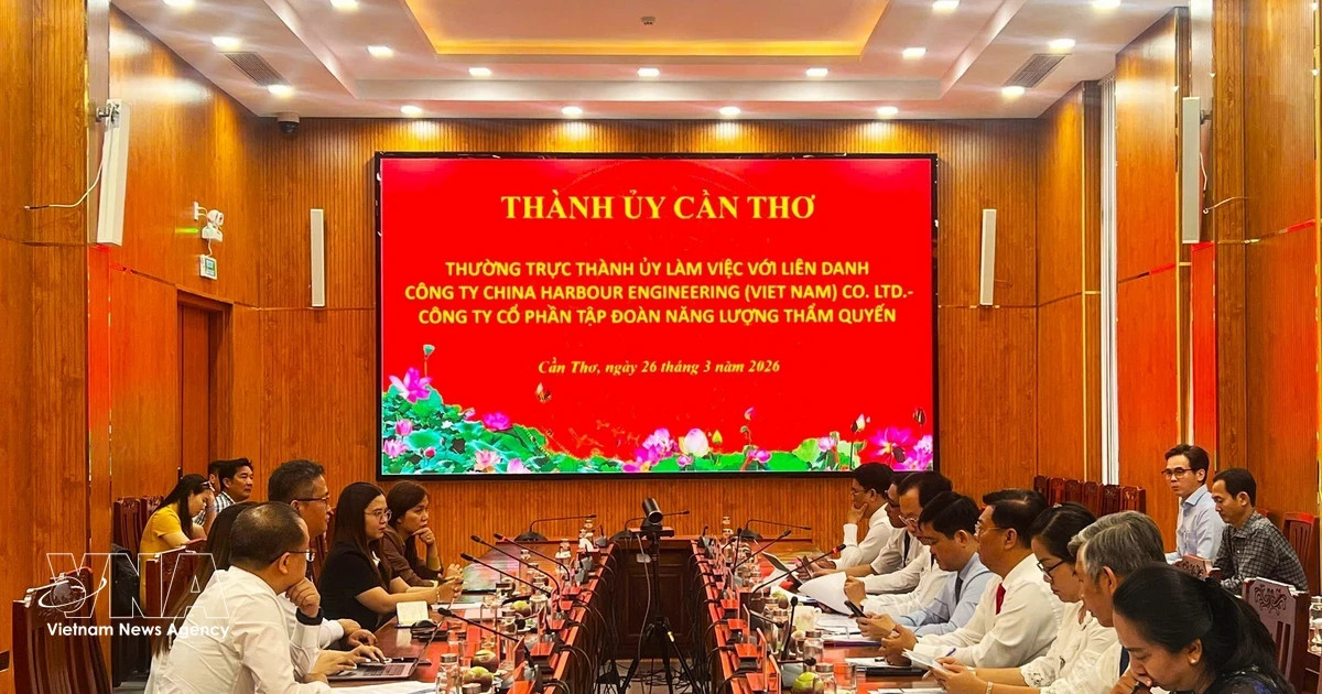 Can Tho city courts global investors to accelerate energy ambitions