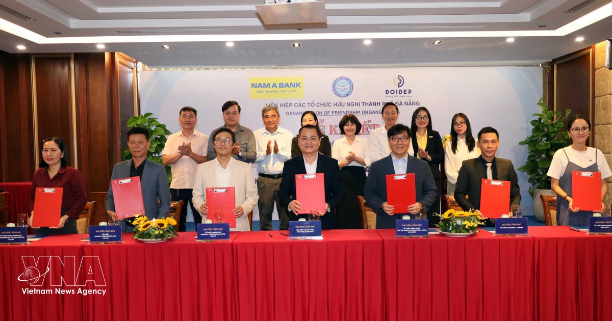 Da Nang secures 2.79 million USD in international NGO aid