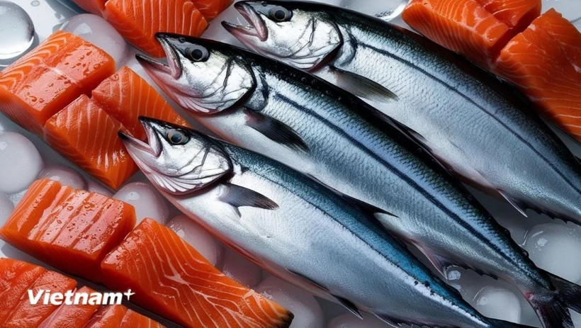 Vietnam becomes fastest growing market for Norwegian salmon in Southeast Asia