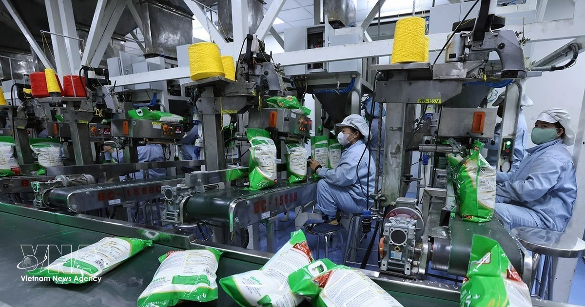 Vietnam steps up rice market diversification through FTAs