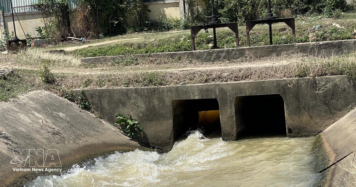 Vietnam, World Bank step up cooperation on water, agriculture, environment