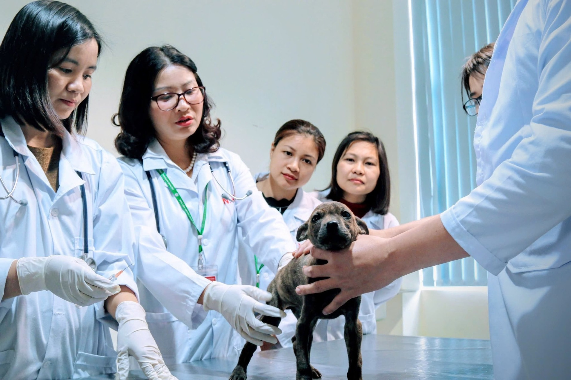 Nguyễn Thị Lan 1.jpg