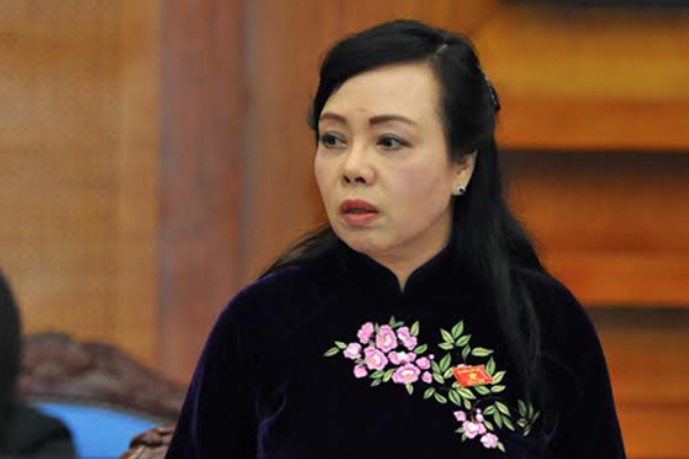 Former Health Minister indicted over VND803 billion losses, faces trial