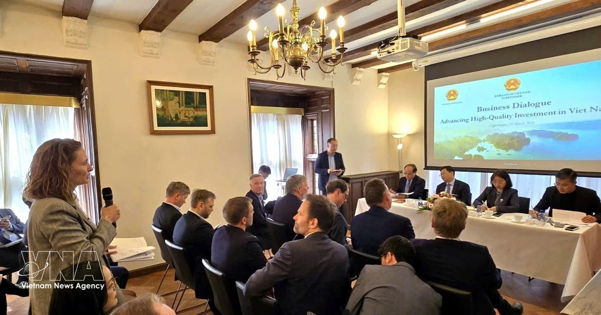 Vietnam, Denmark promote investment cooperation