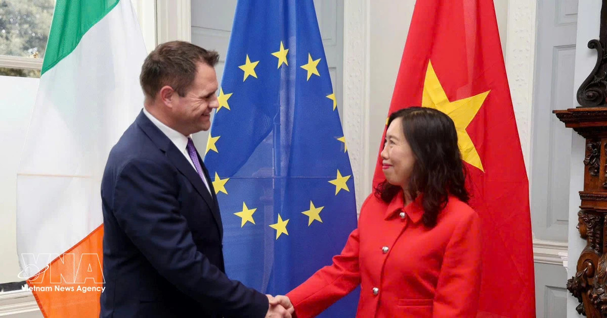 VN, Ireland hold deputy foreign minister-level political consultation