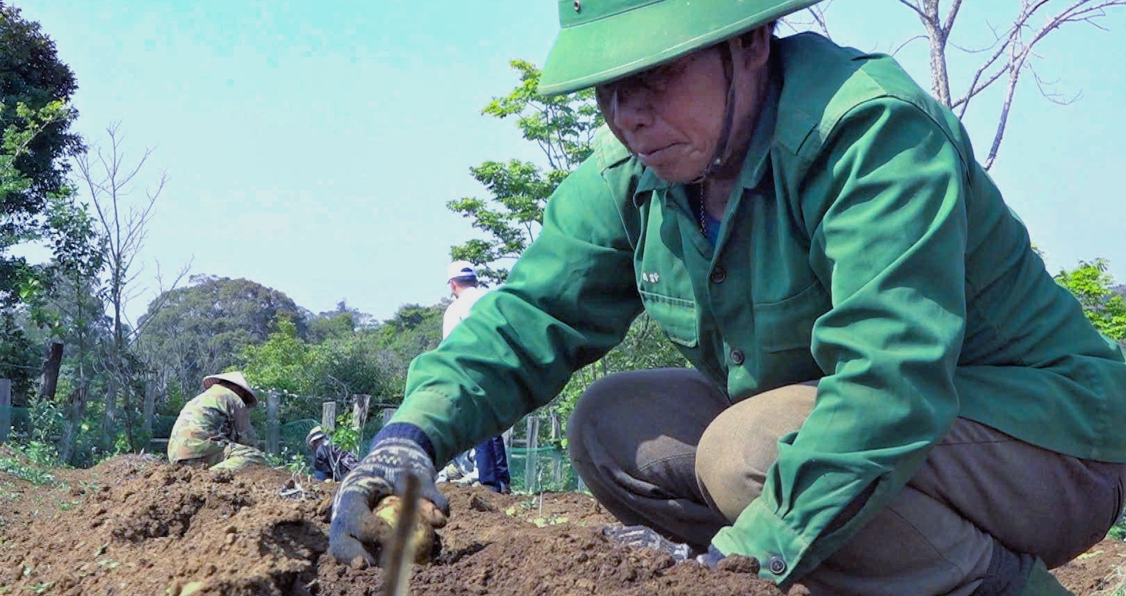 From cassava fields to cold-climate crops, a farmer transforms his future