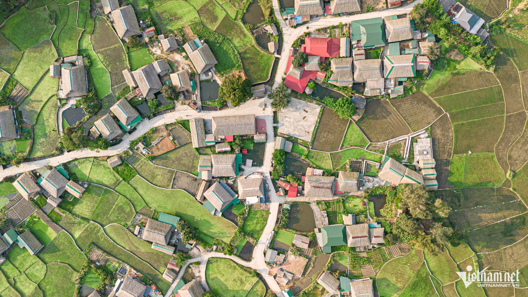 W-Vu Mung DTPT_2.jpg