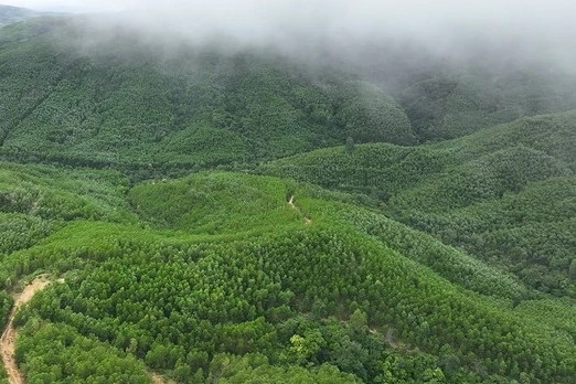 Legal framework set up for domestic carbon exchange