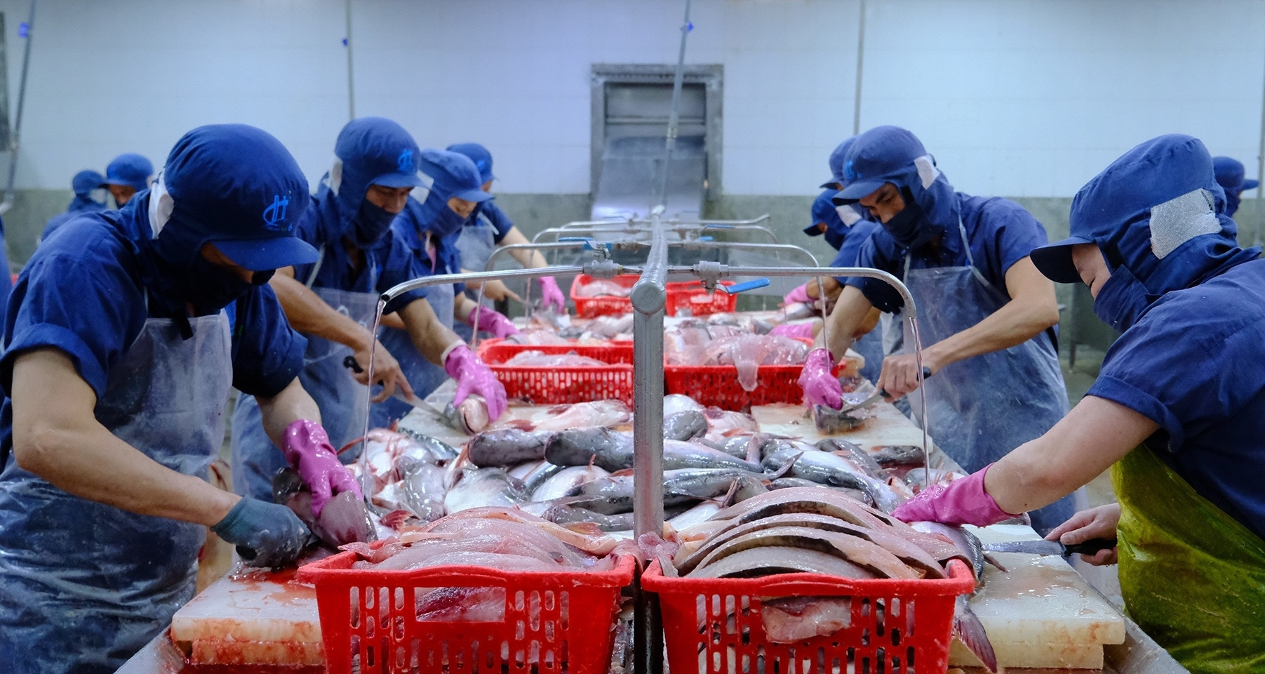 Vietnam seafood exports face major test amid Middle East shipping shock