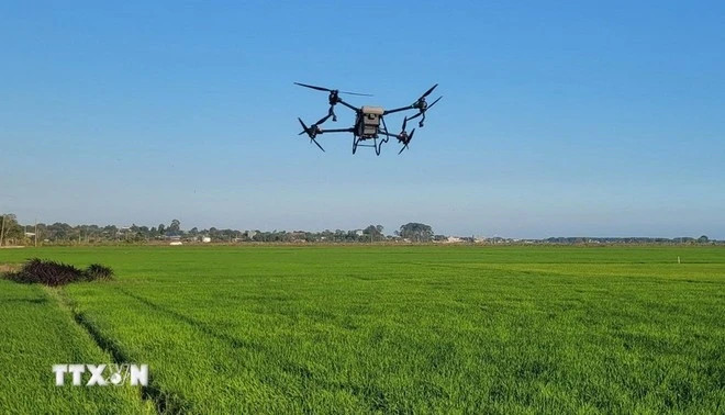 Vietnamese agricultural products restructured to affirm global standing