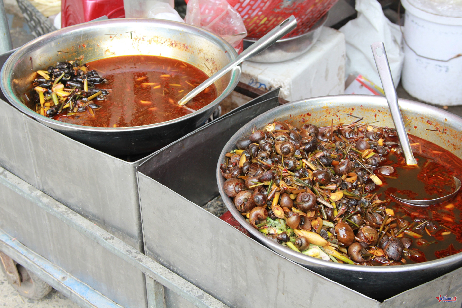 w img 2838jpg 452.jpg