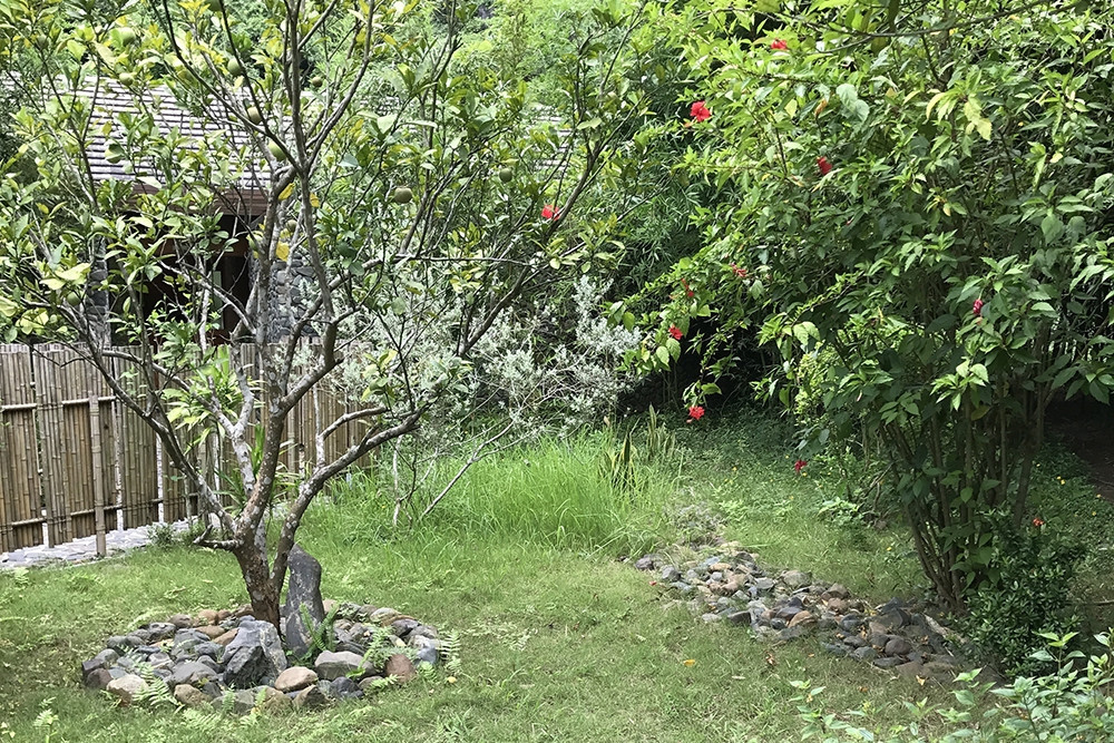 Rural homestay dream costs former marketing manager VND800 million