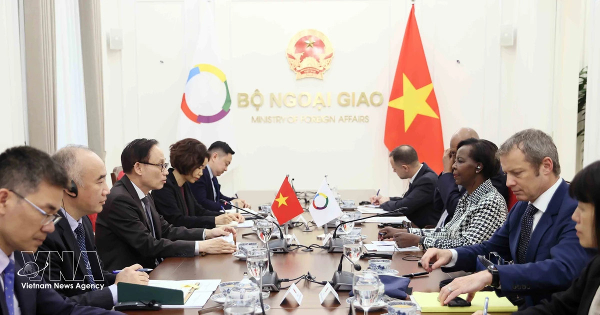 Vietnam always treasures cooperation with Francophone community: FM