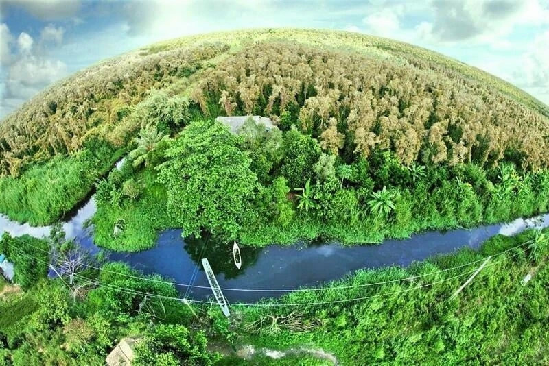 Forest carbon market constitutes new financial channel for sustainable forestry