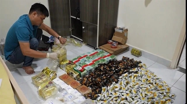 Ho Chi Minh City aims to become drug free by 2030