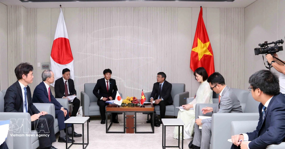 Vietnam, Japan expand cooperation in various fields