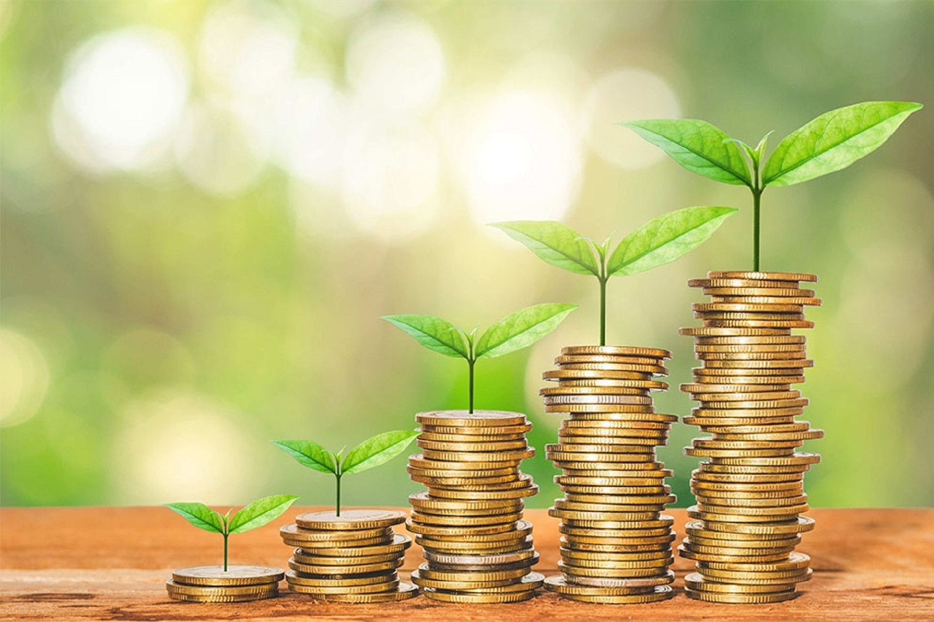 HCMC aims to be “engine for green capital”, center for carbon-credit exchange