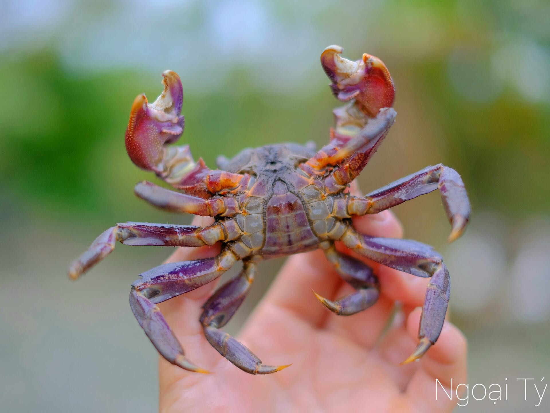 đặc sản miền tây