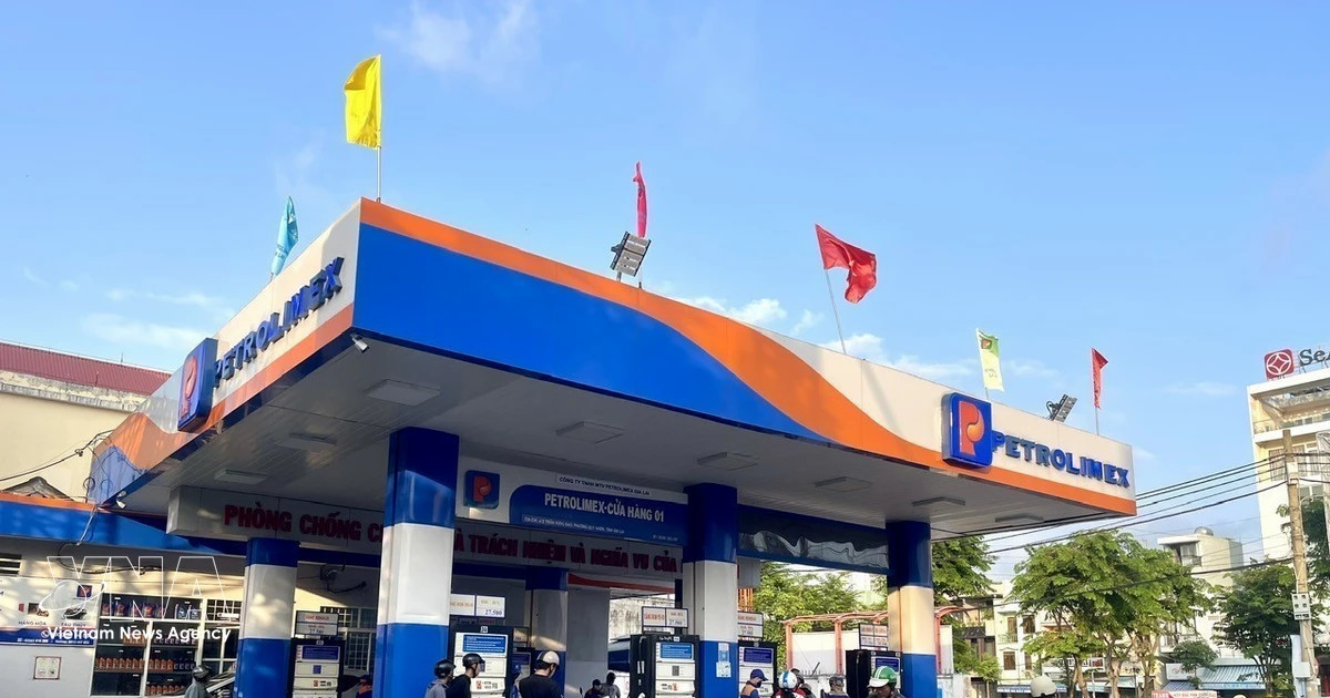 Timely regulation keeps fuel market stable as hoarding declines