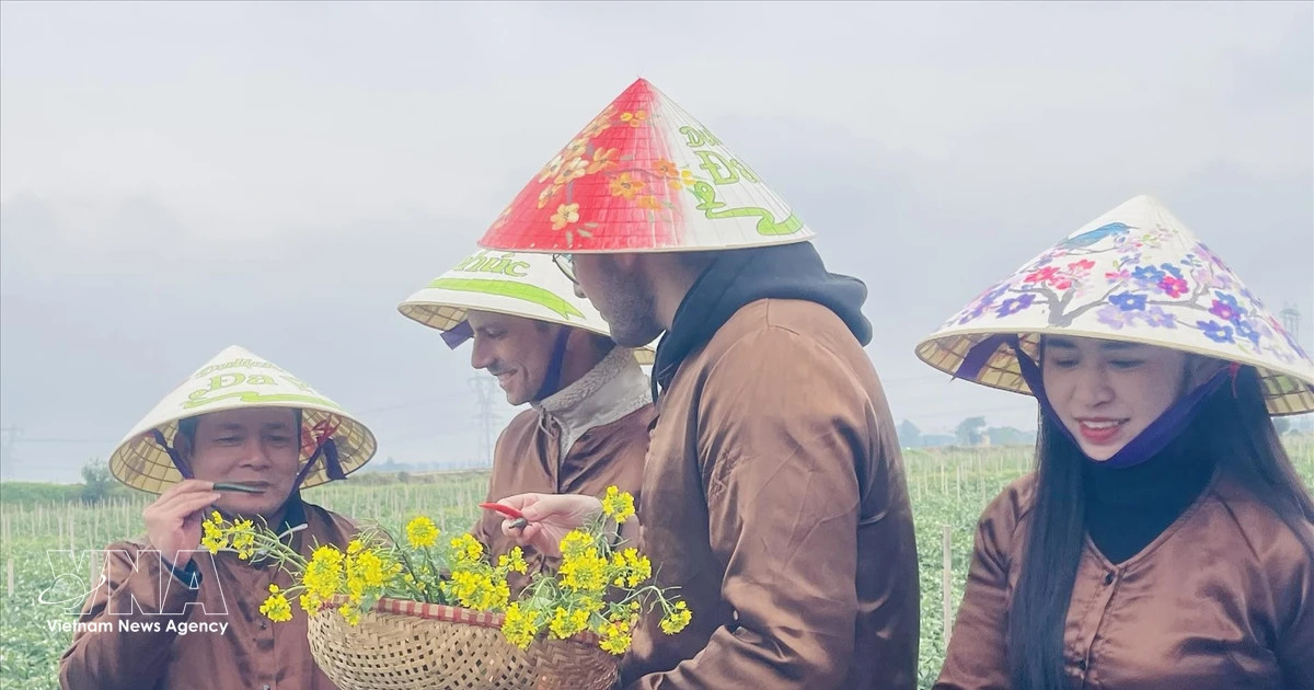 Vietnam welcomes nearly 4.7 million foreign visitors in January–February