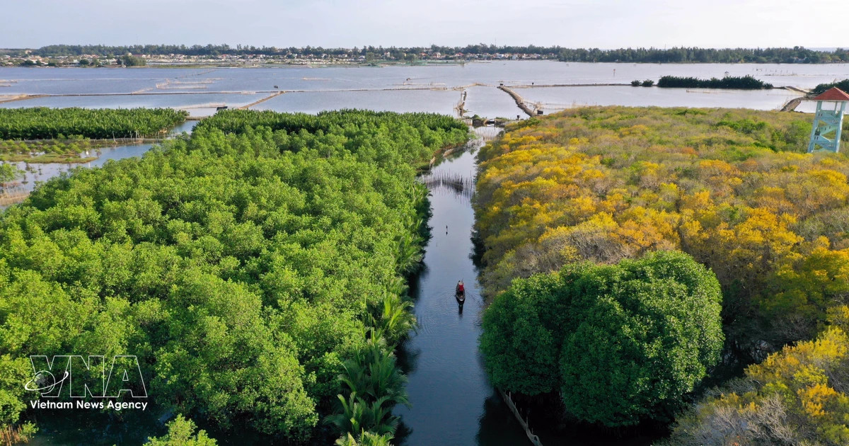 Hue sets sights on becoming Vietnam’s leading green tourism city