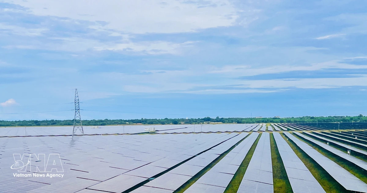 PM requests enhancing power saving, accelerating rooftop solar rollout