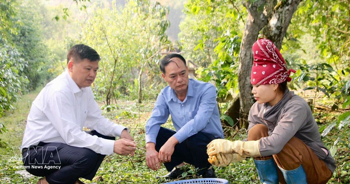 Vietnam braces for thunderstorms, whirlwinds, hail during seasonal transition