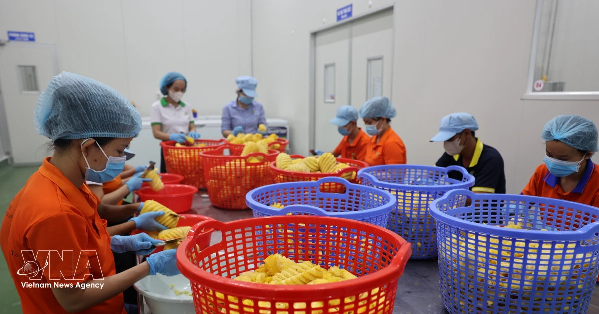 Vietnam’s food sector urged to move up global value chains