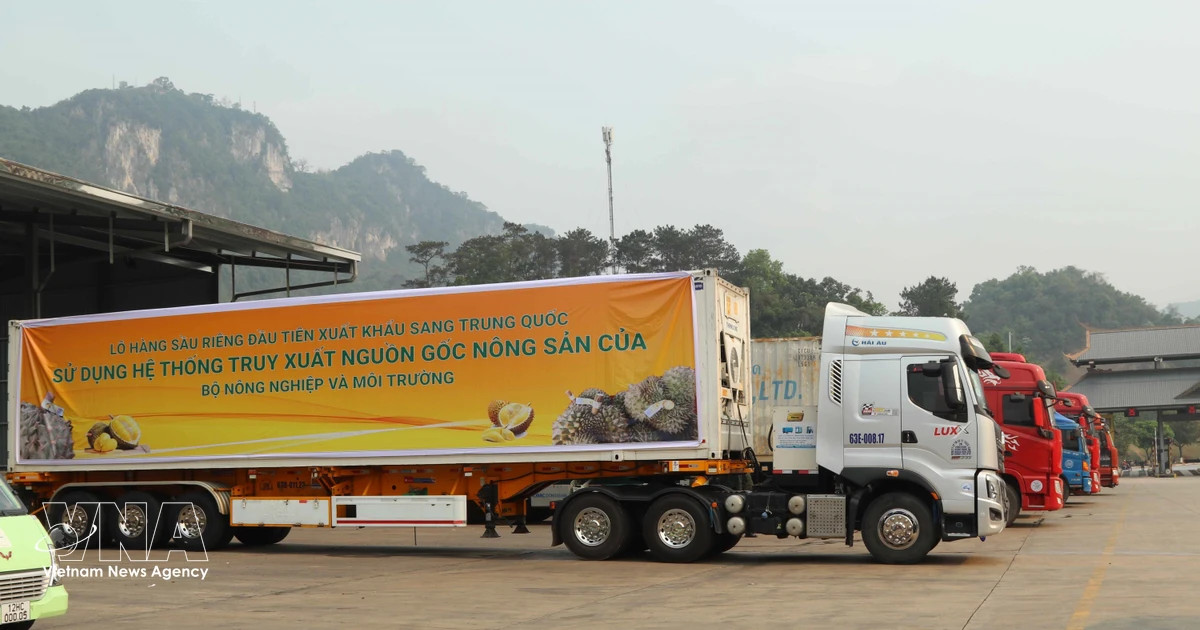 First “green lane” durian shipment exported to China