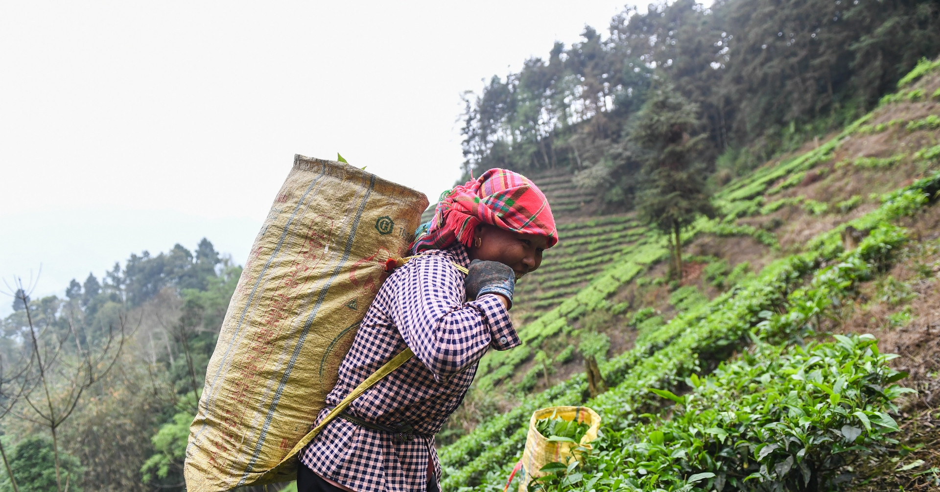 From support to empowerment: Rethinking ethnic policy