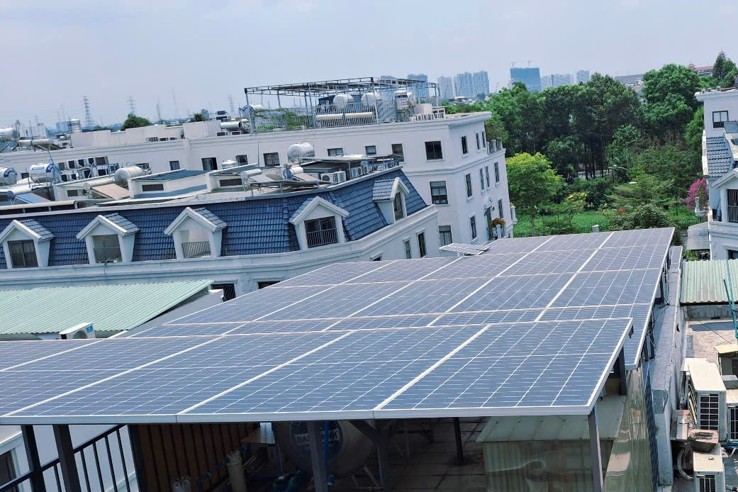 Green transition: From an environmental choice to a business necessity