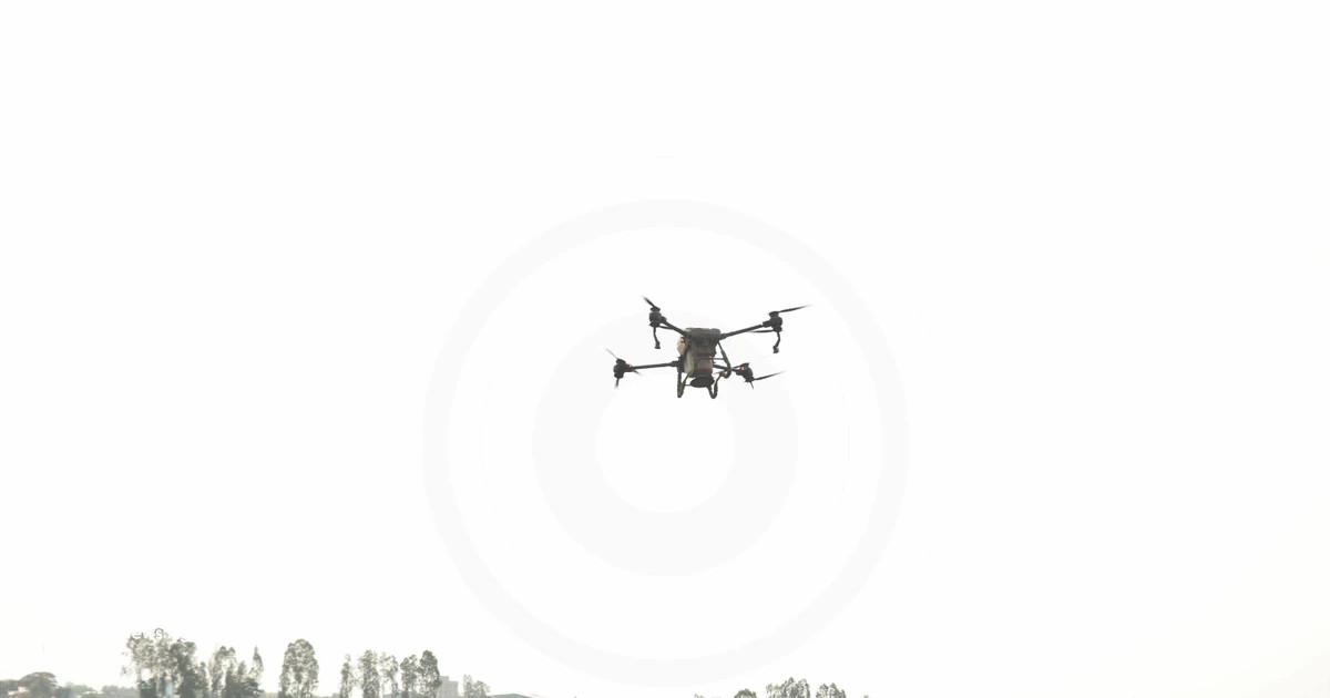 Low-altitude economy emerges as new growth driver for Vietnam