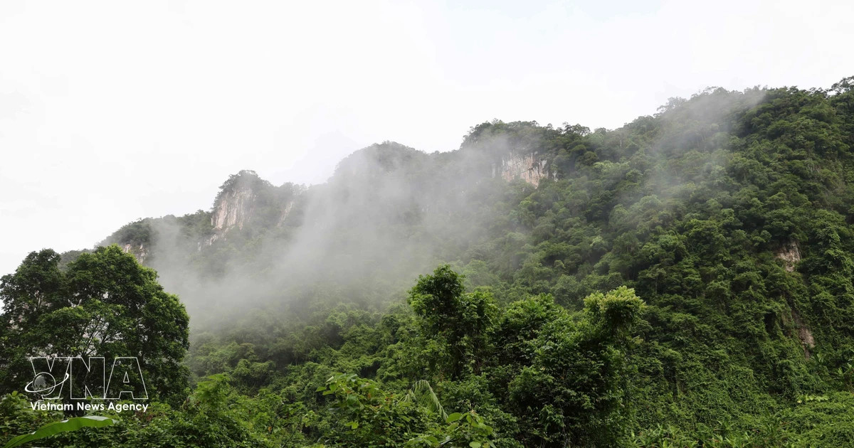 Phong Nha – Ke Bang: untapped biological treasure in Truong Son mountains
