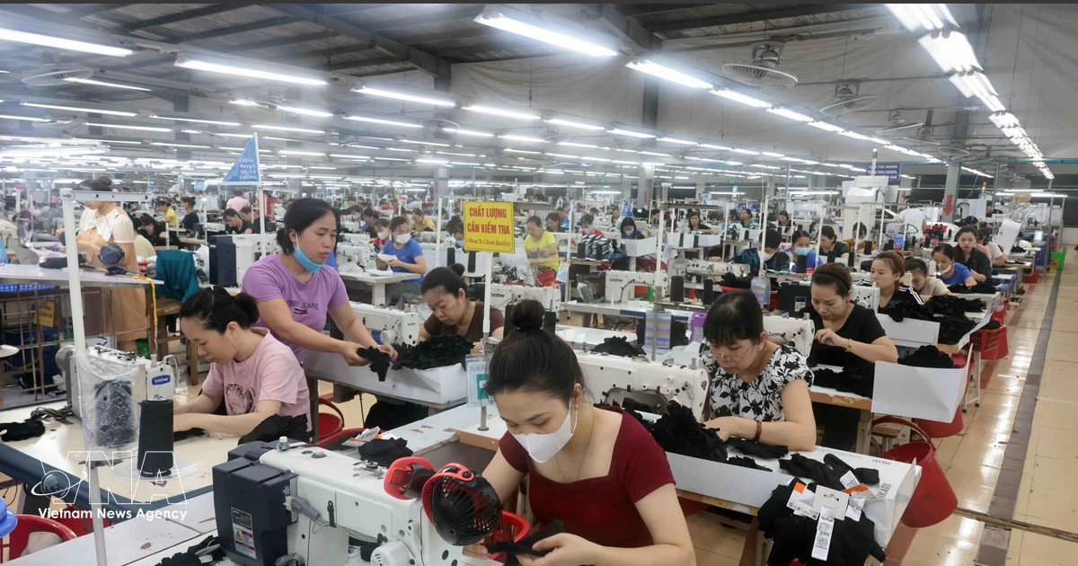 Policy push enhances private sector’s role in economic growth